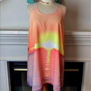 Sweet Sinammon Shift Summer Dress